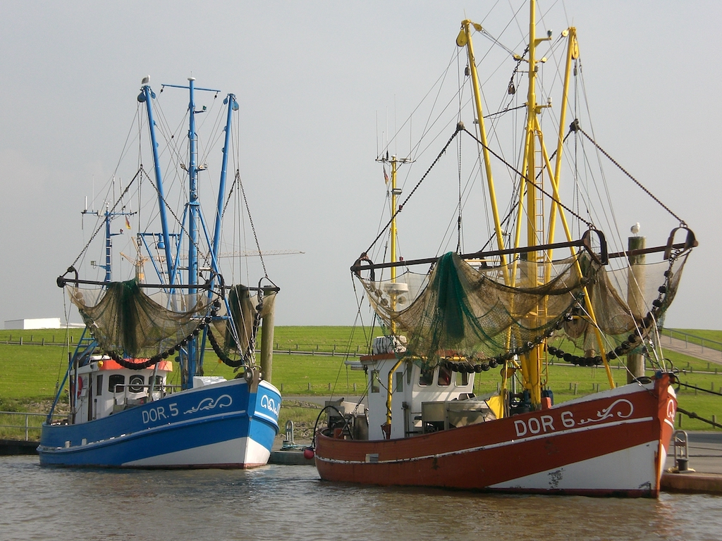 ErlebnisTouren Frauke Klemme Reiseleitung für Bremerhaven, Cuxhaven, Nordseeküste, Stade, Altes Land
