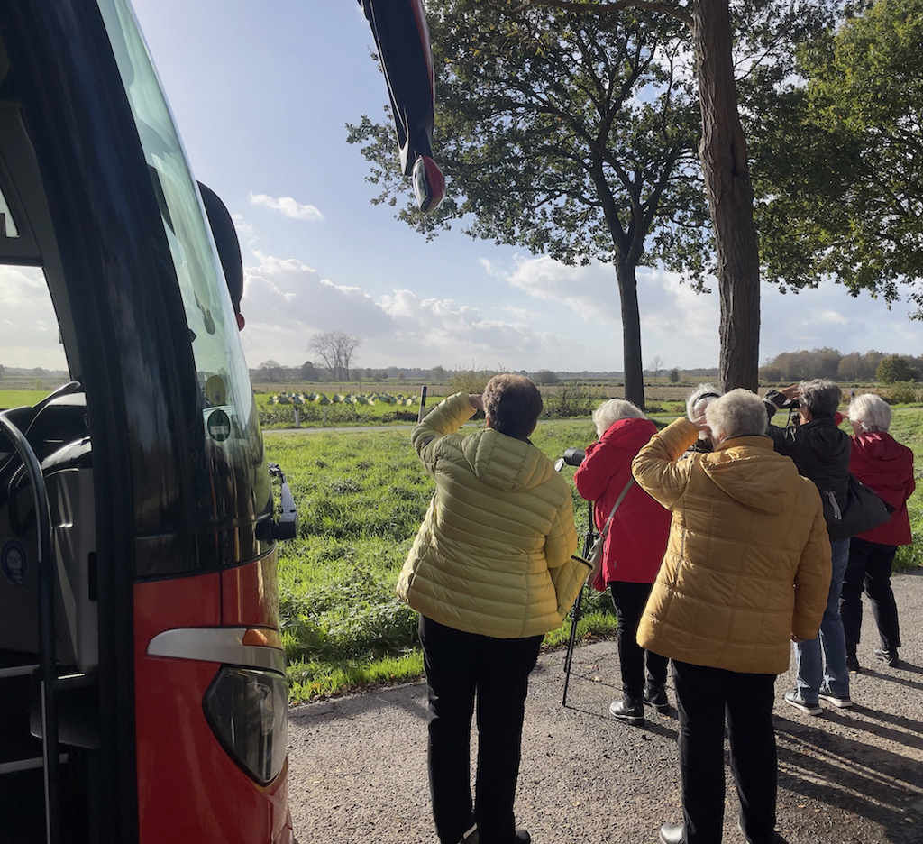 Kraniche beobachten per Reisebus
