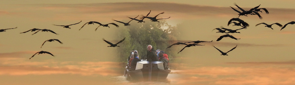 Torfkahnfahrt im Teufelsmoor zu fliegenden Kranichen in der Abendsonne