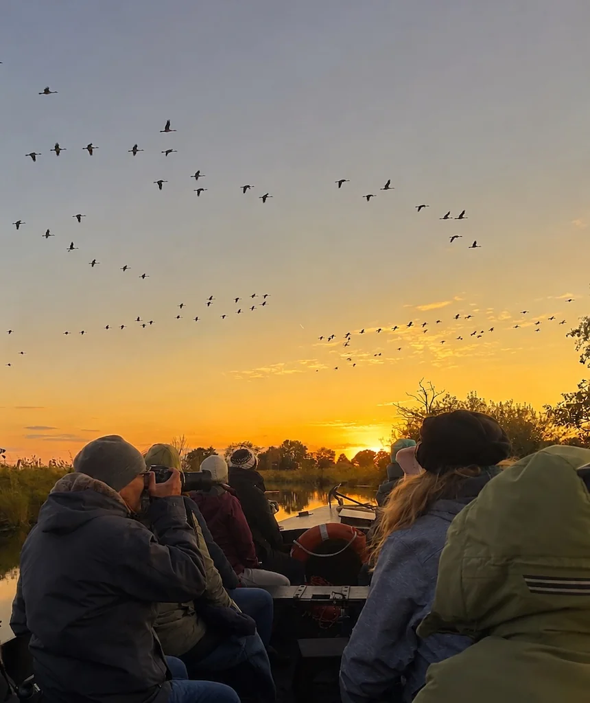 Kraniche fliegen am Abendhimmel über einen Torfkahn mit Menschen