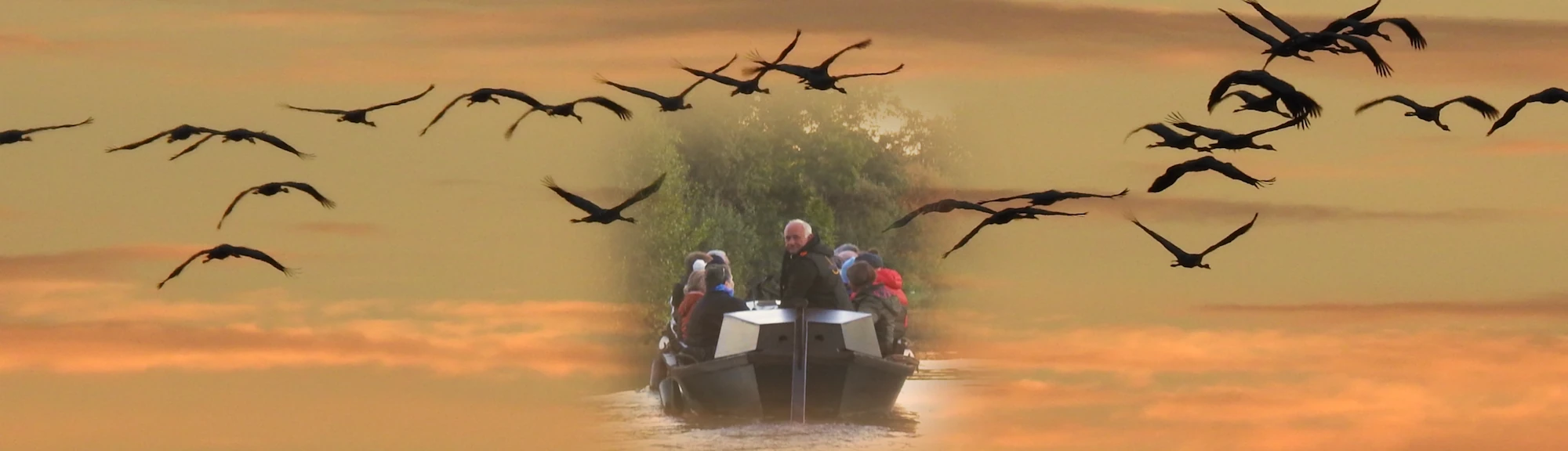 Collage von Kranichen die in die untergehende Sonne fliegen und darin ein Torfkahn auf dem Wasser